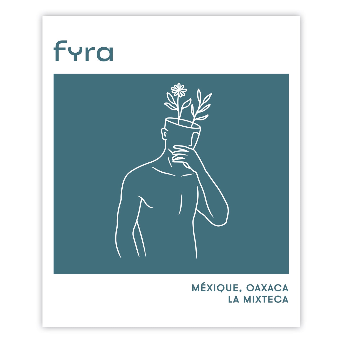 Café Filtre - Mexique, Oaxaca de La Mixteca